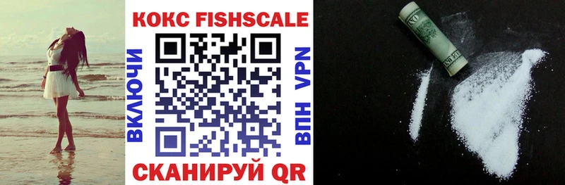 Купить закладки Новоалтайск Cocaine Fish Scale