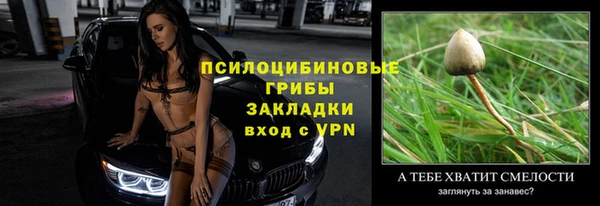 ПСИЛОЦИБИНОВЫЕ ГРИБЫ Лиски