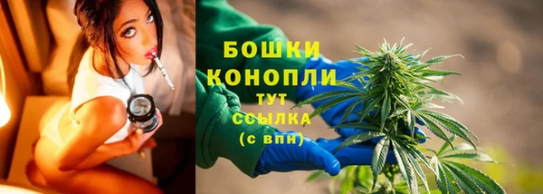 ПСИЛОЦИБИНОВЫЕ ГРИБЫ Лиски