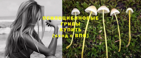 прущий лед Лихославль