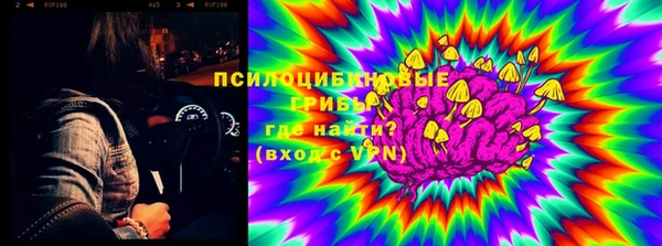 ПСИЛОЦИБИНОВЫЕ ГРИБЫ Лиски
